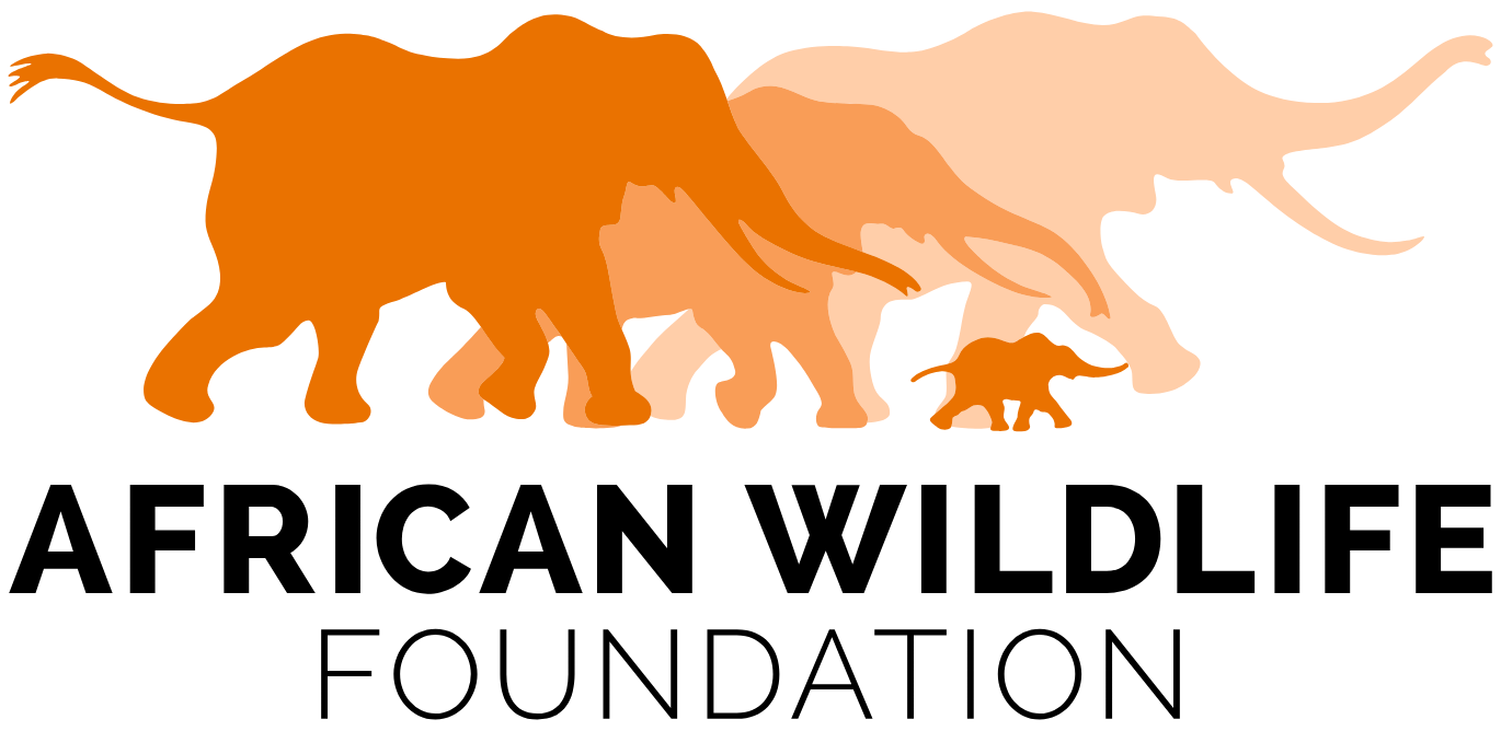 African Wildlife Foundation